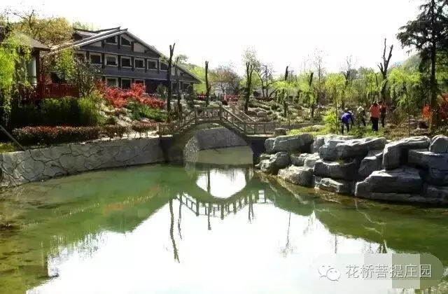 這個周末，隴南康縣花橋有大事要發(fā)生？