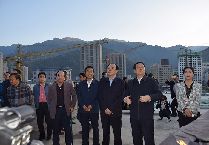 全國(guó)、省市政協(xié)委員體驗(yàn)蘭渝鐵路、視察階州廣場(chǎng)